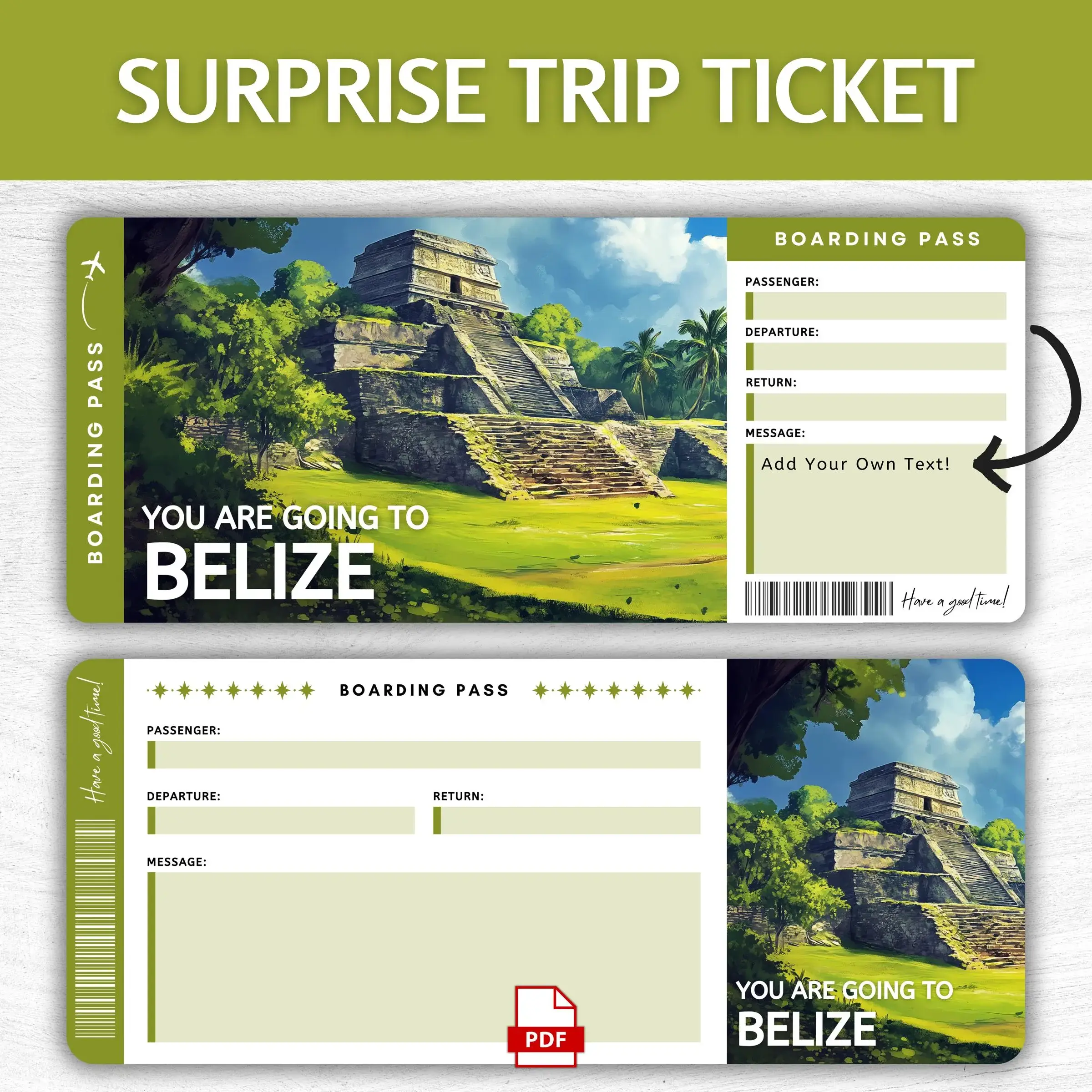 Printable Belize Boarding Pass