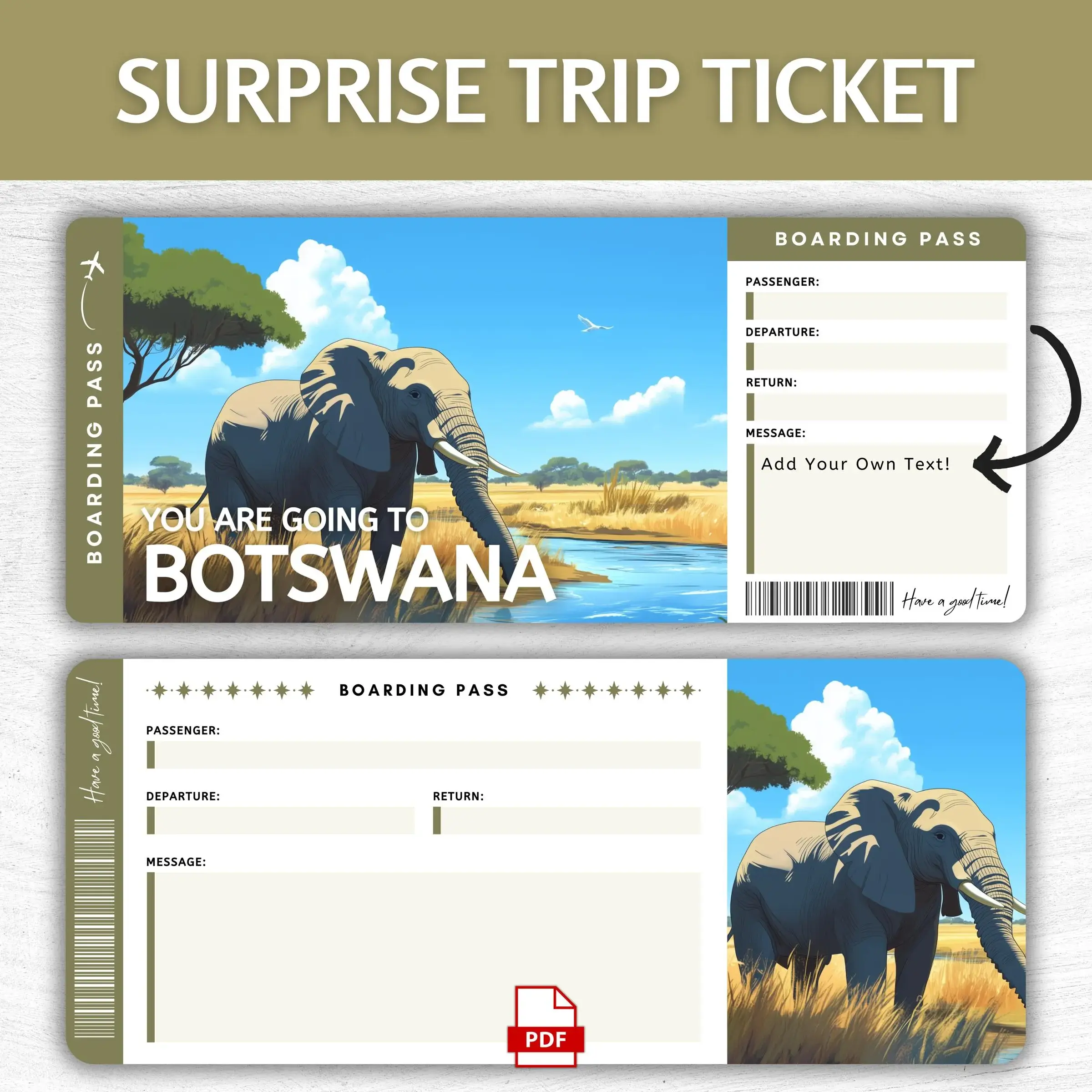 Printable Botswana Boarding Pass