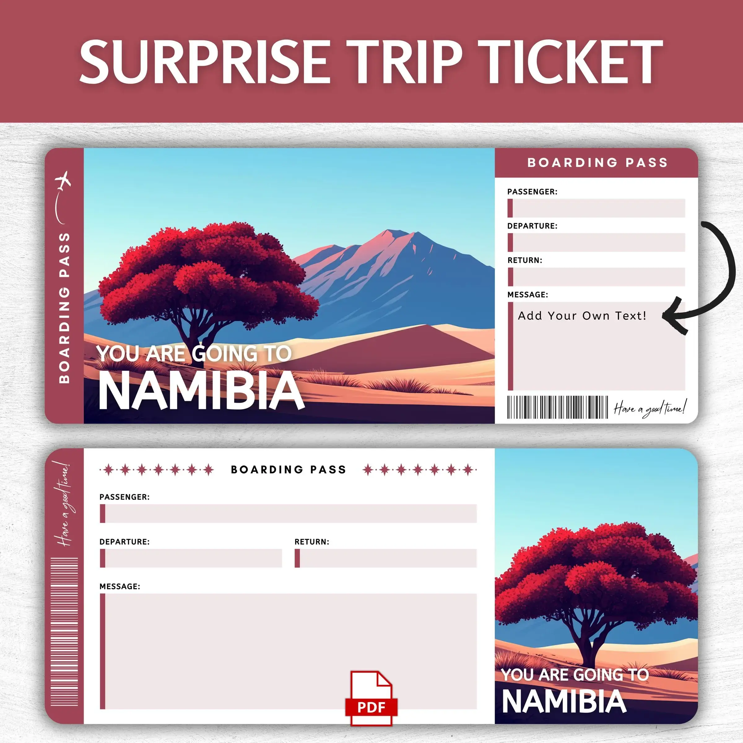 Printable Namibia Boarding Pass