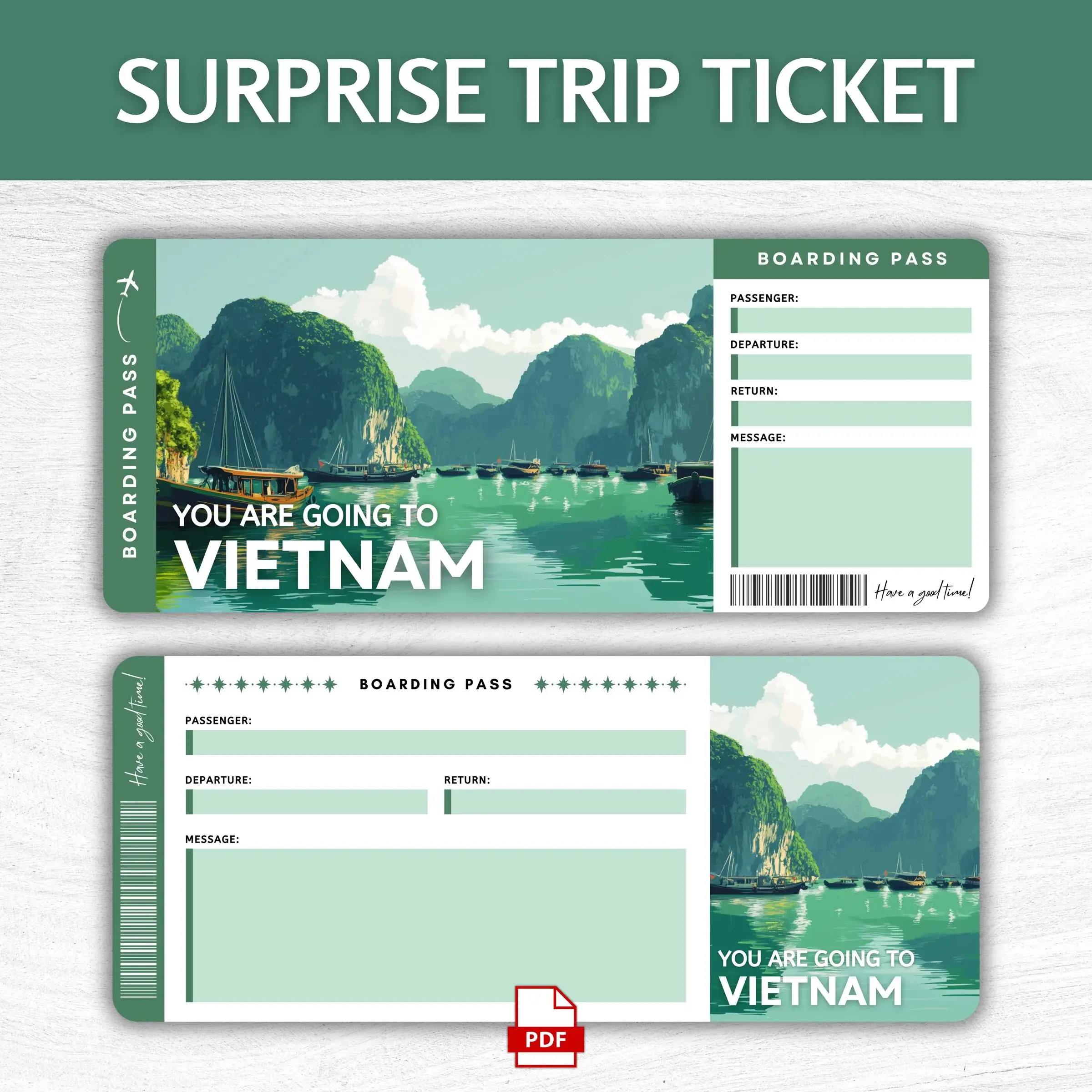 Printable Vietnam Boarding Pass